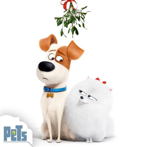 Image - Max and gidget christmas.jpg | The Secret Life of Pets Wiki | FANDOM powered by Wikia