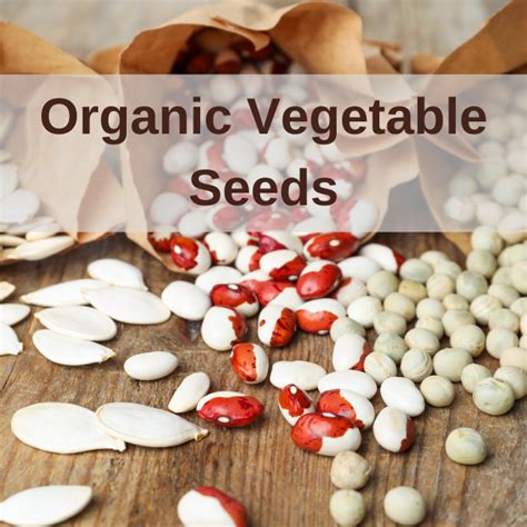 Organic Vegetable Seed | Open-Pollinated | Small & Bulk Available – Page 4 – Seeds Ireland