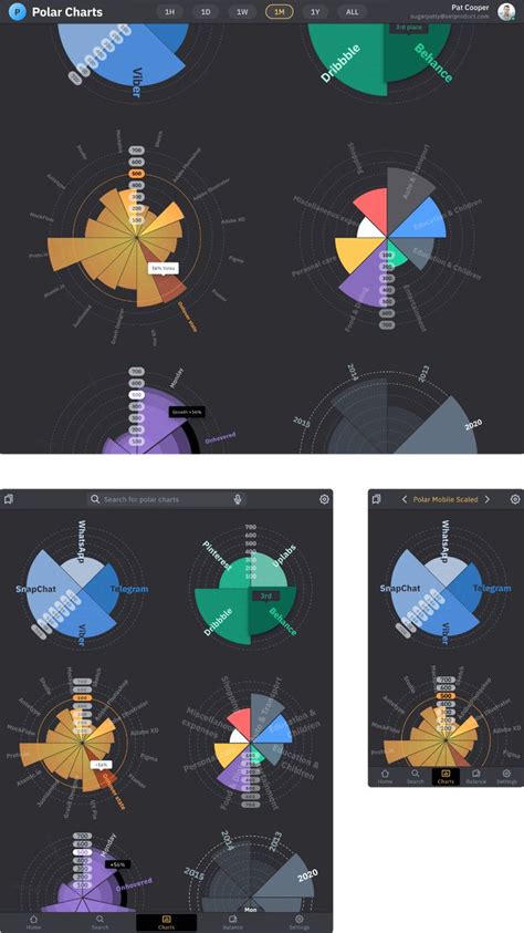 Polar chart, Data visualization design, Radar chart