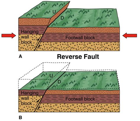 Reverse Fault