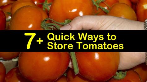 7+ Quick Ways to Store Tomatoes