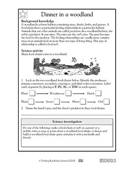 5th grade Science Worksheets: Food chains in a woodland | GreatSchools