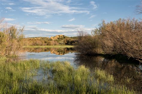 Free picture: landscape, swamp, blue sky, lake, nature, cloud, water ...