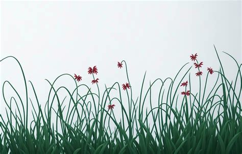 White and grass background, White background 26801511 Stock Photo at ...