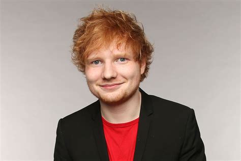 Ed Sheeran 'faces council probe over wooden gazebo'