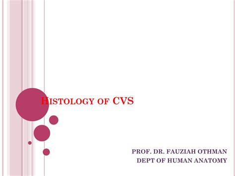 (PDF) Histology of CVS · liver, spleen, bone marrow, lymph nodes, and ...