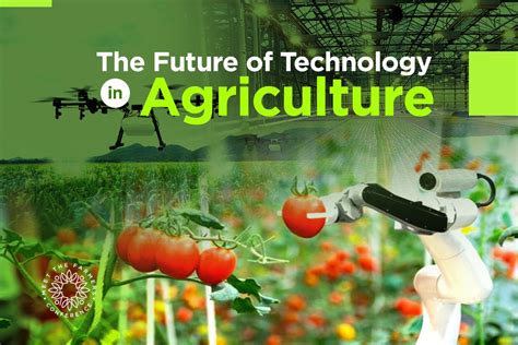 Drones in Agriculture – agrimate.org