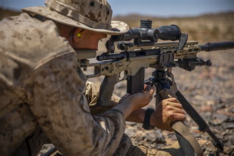 Reserve Scout Sniper Platoon Conduct Live-Fire Training During ITX 5-19