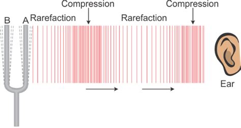 PHYS - Sound Waves - physics waves sound waves