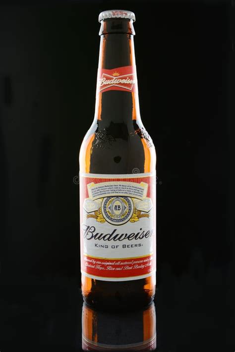 Budweiser Bottle on Black editorial photography. Image of brown - 184654447