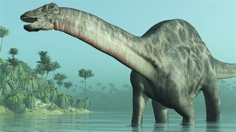 Jurassic Period Facts | Dinosaurs | Reptiles | Animals | Eden Channel