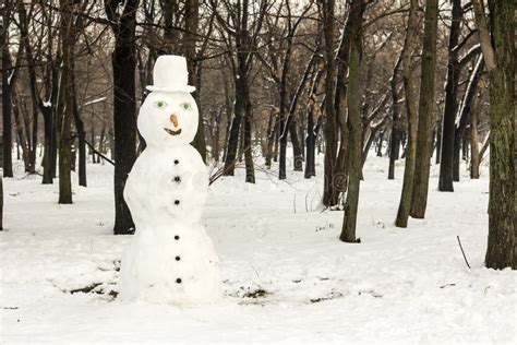 Snowman in park stock photo. Image of eyes, melted, park - 51946826