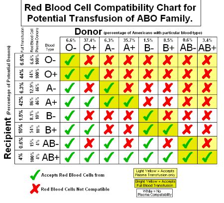 Blood Types And Genetics