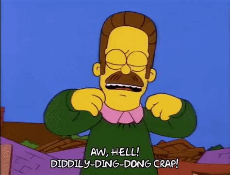 Flanders GIFs - Find & Share on GIPHY