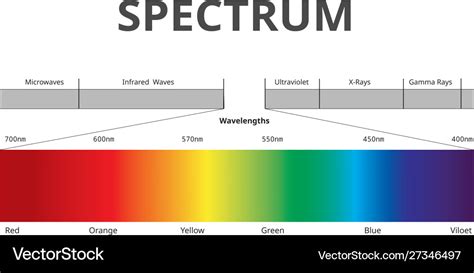 Visible spectrum color electromagnetic spectrum Vector Image