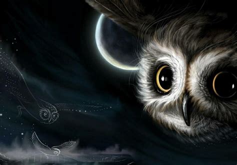 Pin by Kim Kinneally on Owls | Owl art, Owl, Owl moon