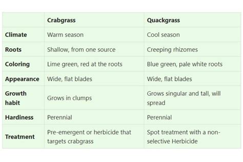 How to get rid of crabgrass in the spring? - Lawn Gardeners