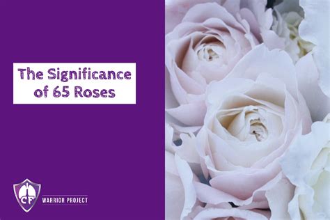 The Significance of 65 Roses - CF Warrior Project