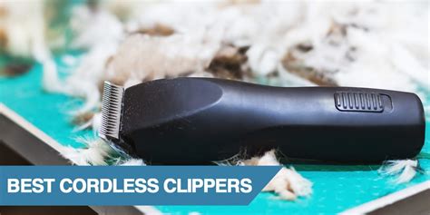 Best Cordless Dog Grooming Clippers [2021] - Reviews & Top Pick