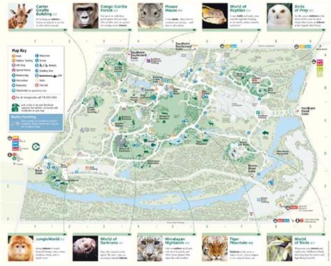 Information on Bronx Zoo - Empire State Magazine - Your Guide to New ...