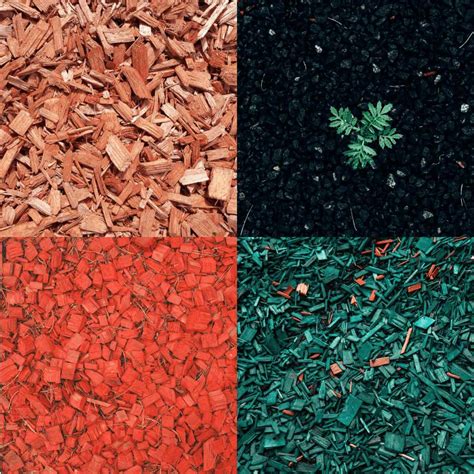 8 Mulch Colors Classified in 2 Categories to Impact Your Garden!