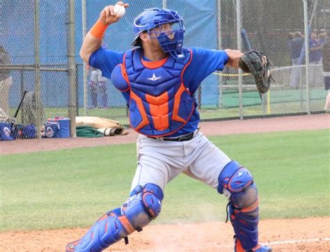 Prospect Pulse: Young Catcher Francisco Alvarez Impressing on Both ...