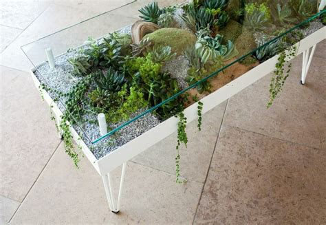 Succulent Coffee Table Could do this with a shallow aquarium and removable top Suculentas ...
