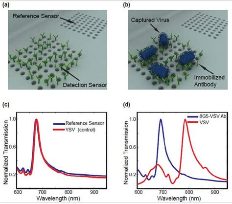 Plasmonic sensor detects viruses – Physics World