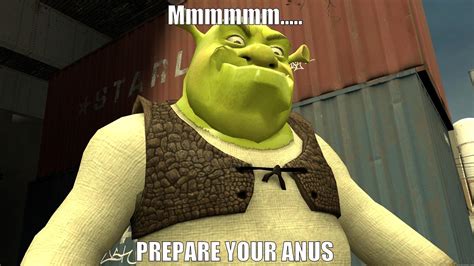 Free Download Shrek Memes Wallpapers Top Shrek Memes Backgrounds | Images and Photos finder