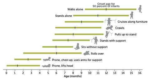 This is an overview of the 10 different motor development milestones ...