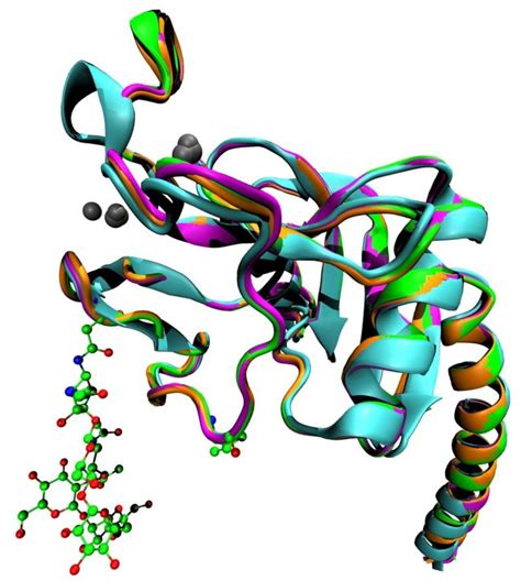 Tertiary Structure Of Protein - Solved: PART A The Tertiary Structure ...