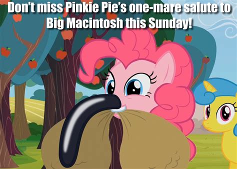 Pinkie's salute to Big Macintosh | My Little Pony: Friendship is Magic ...