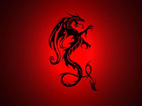 Free download wallpapers Dragon Wallpapers [1600x1200] for your Desktop, Mobile & Tablet ...