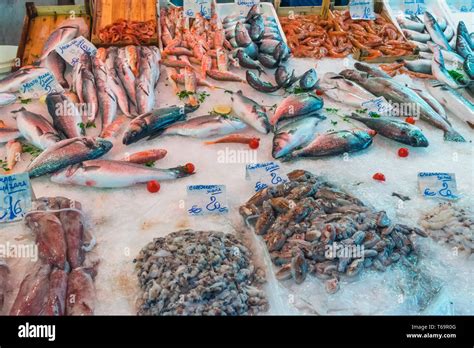 Fish and seafood at the Vucciria market in Palermo, Sicily Stock Photo - Alamy