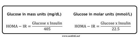 HOMA-IR Nedir ve Nasıl Düşürülür? | Nedir-Ki