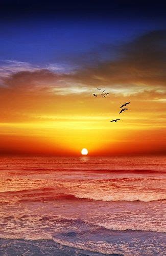 Sunset Beach Recropped | Beautiful sunset, Nature, Beautiful nature