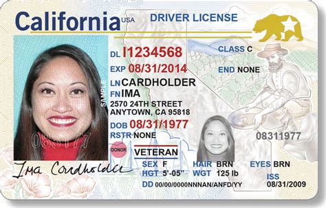 Ca drivers license font - platinumrts