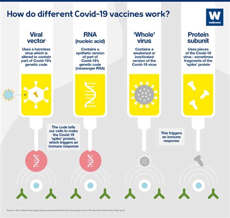 What different types of Covid-19 vaccine are there? | News | Wellcome