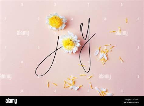 Inscription joy with white flowers on pink background Stock Photo - Alamy