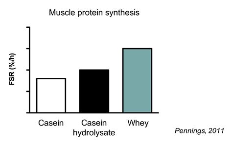 The Ultimate Guide to Muscle Protein Synthesis