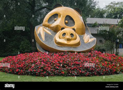 Sichuan Giant Panda Base Stock Photo - Alamy