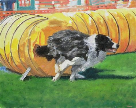 "Dog Agility Tunnel!" by Brad A. Thomas | Redbubble