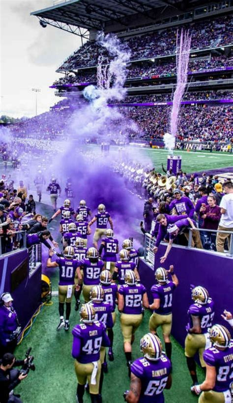 Washington Huskies Football Tickets - 2023 Washington Games | SeatGeek