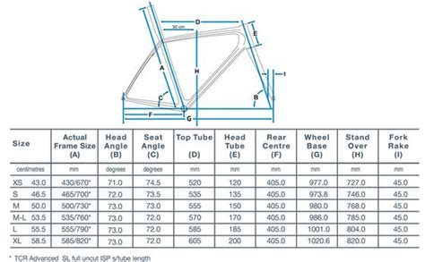 Giant Bike Rider Height Vs Frame Size Chart | Webframes.org