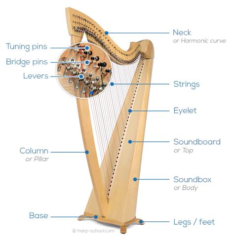 Choose your Harp | Harp School