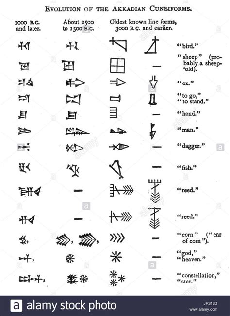 Evolution of the Akkadian cuneiform | Ancient writing, Ancient ...