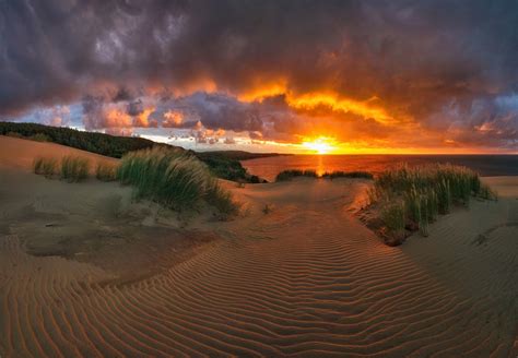 Curonian Spit National Park, Lithuania Photo | One Big Photo