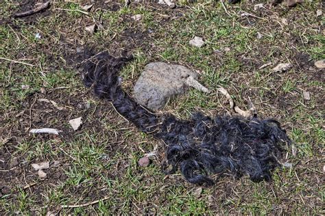 Travelling on the Tibetan Plateau – Tibetan Sky Burial | Nomadicpixel