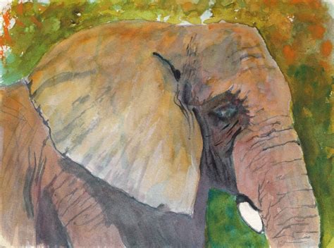 Elephant Watercolor Painting