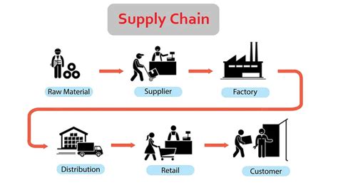 Toilet paper shortage: Lessons in supply chain - BA Theories (Business Administration & Management)